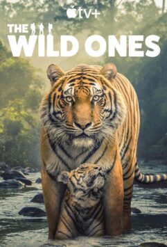 Смотреть В мире дикой природы Все Сезоны