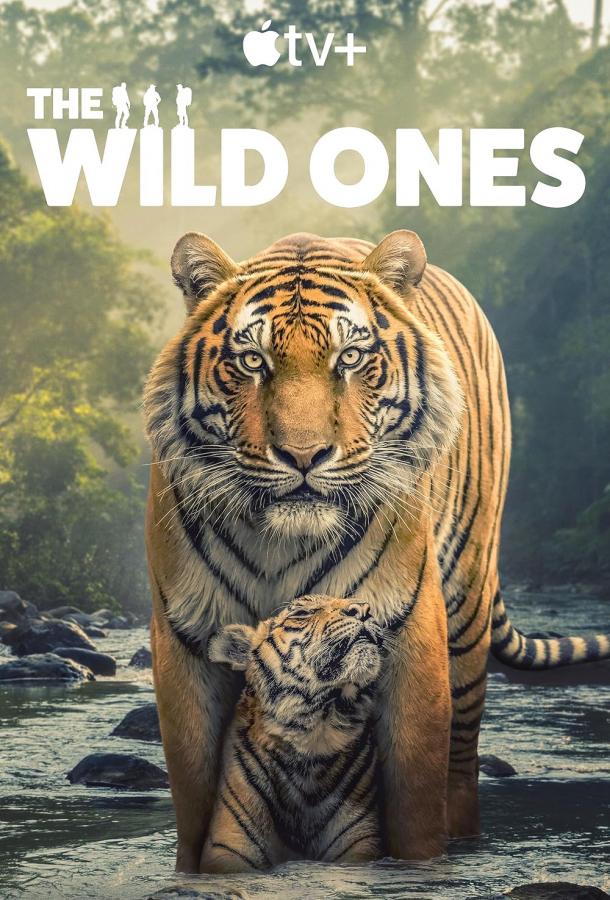 Смотреть В мире дикой природы Все Сезоны